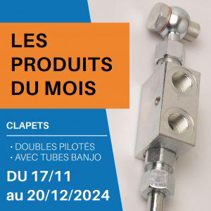 Clapet double piloté VBPDE 3/8" L 2 CEXC avec écrous et olives 3/8'